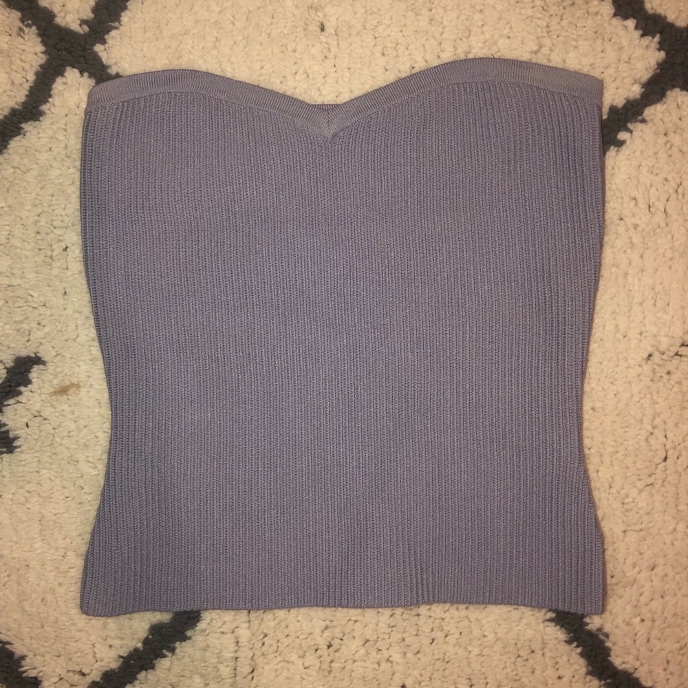 Aritzia Babaton Olaf Tube Top